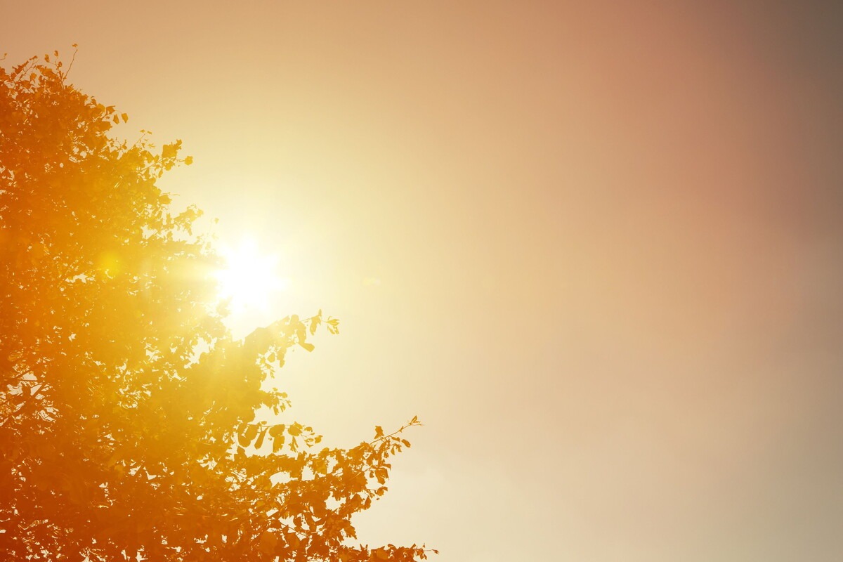 Felle zon schijnt