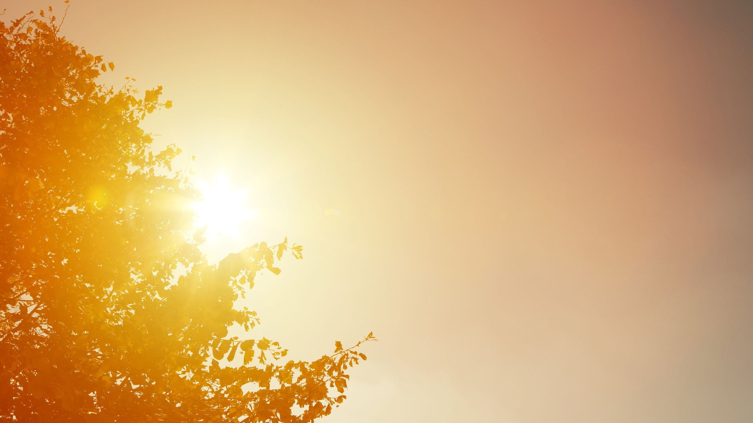 Felle zon schijnt