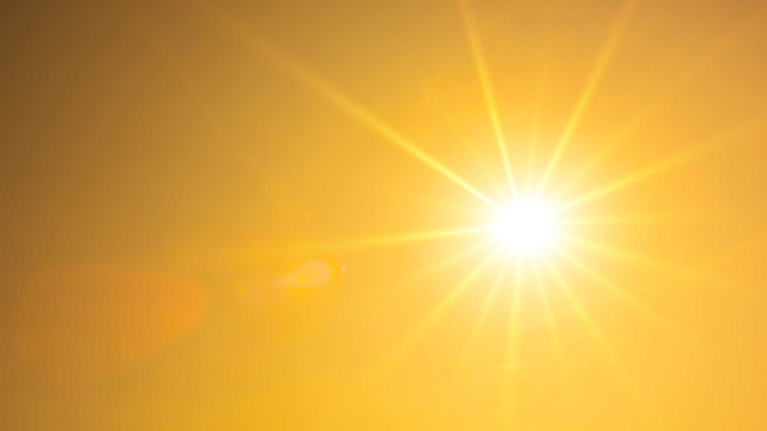 Felle zon